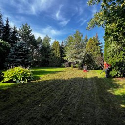 Paweł Podniesiński - Karetka Ogrodowa - Mężczyzna w ogrodzie używa dmuchawy do liści na trawniku po wertykulacji, widoczna maszyna do wertykulacji, w tle drzewa i błękitne niebo z chmurami.