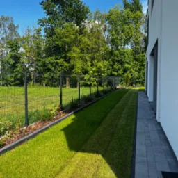 Świeżo założony trawnik z rolki przylegający do nowoczesnego domu, oddzielony obrzeżem od szarej kostki brukowej, w tle metalowe ogrodzenie i zieleń drzew.