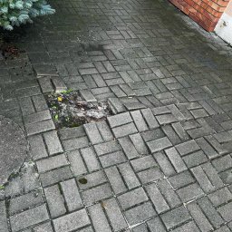 Paweł Podniesiński - Karetka Ogrodowa - Zniszczona, szara kostka brukowa na podjeździe z ubytkiem i zapadniętymi elementami. Widoczne mech i brud, fragment roślinności i ściana budynku w tle.