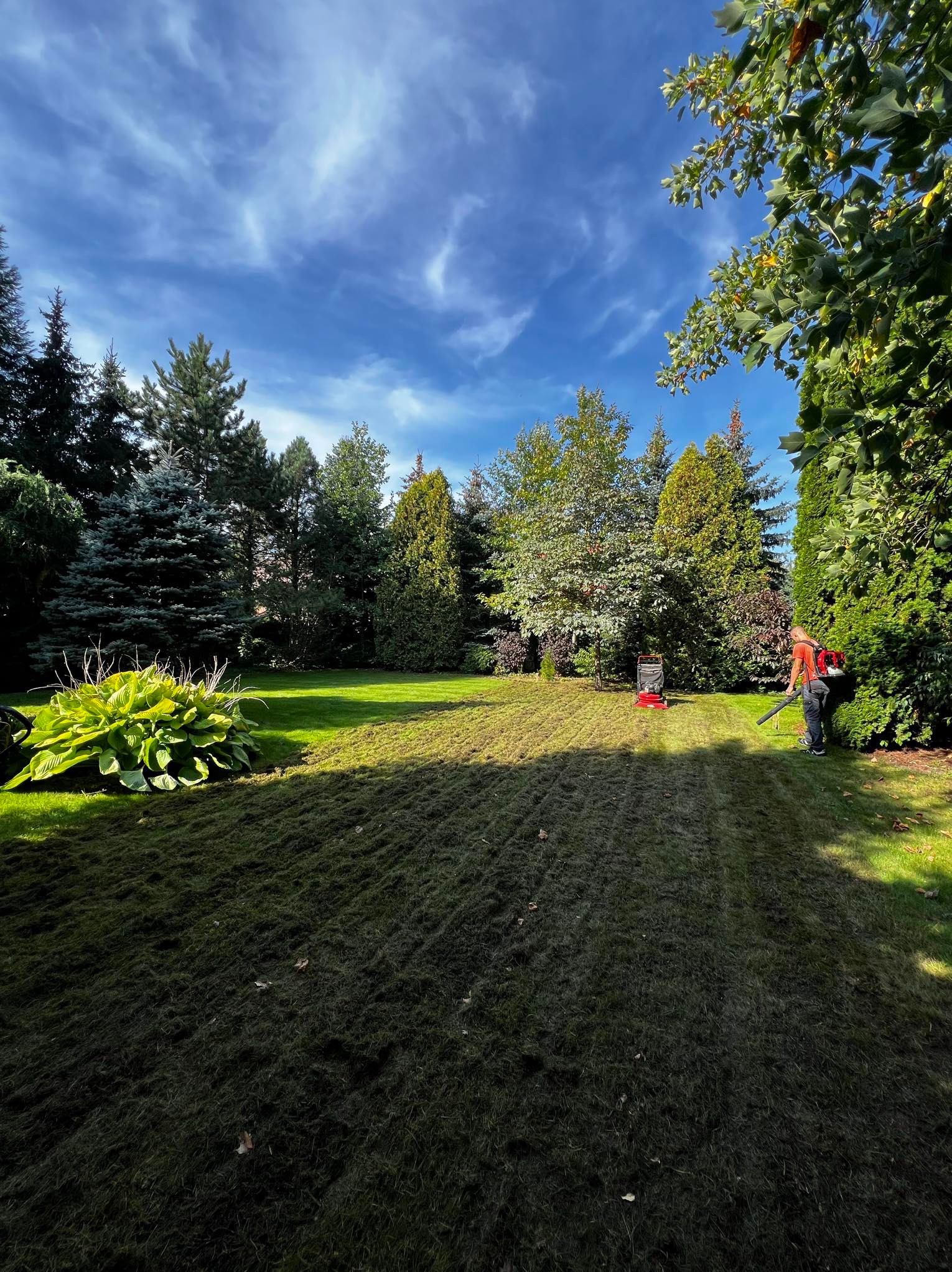 Mężczyzna w ogrodzie używa dmuchawy do liści na trawniku po wertykulacji, widoczna maszyna do wertykulacji, w tle drzewa i błękitne niebo z chmurami.