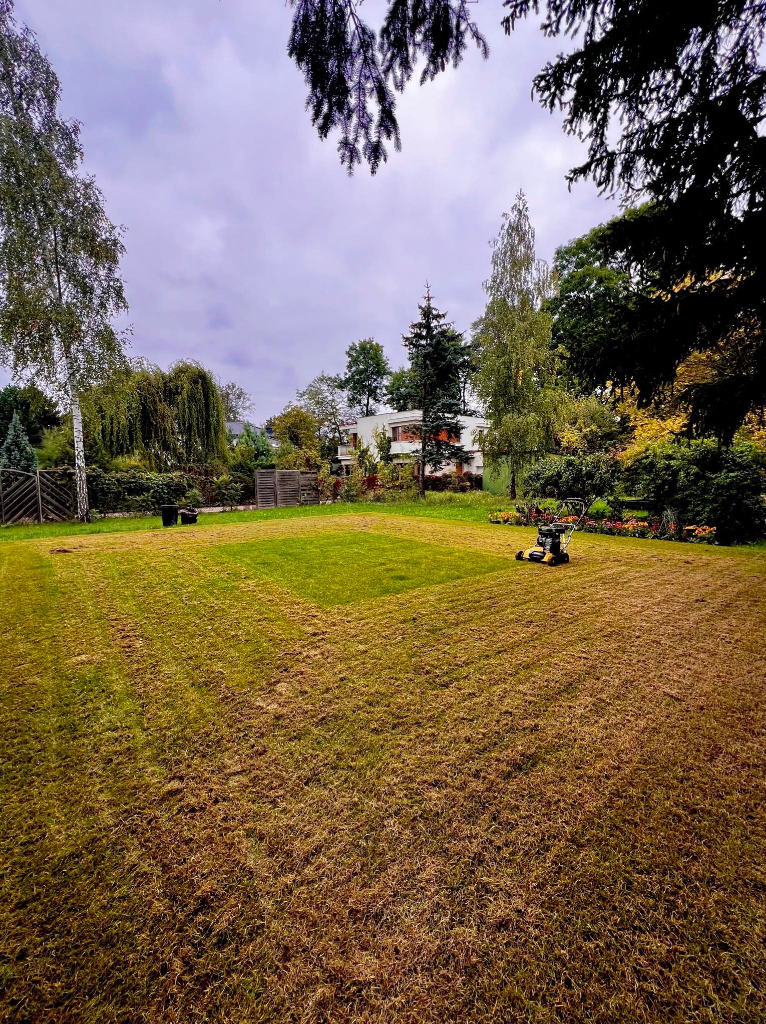 Żółta kosiarka spalinowa na trawniku z widocznymi śladami koszenia, w tle drzewa i dom jednorodzinny w pochmurny dzień.