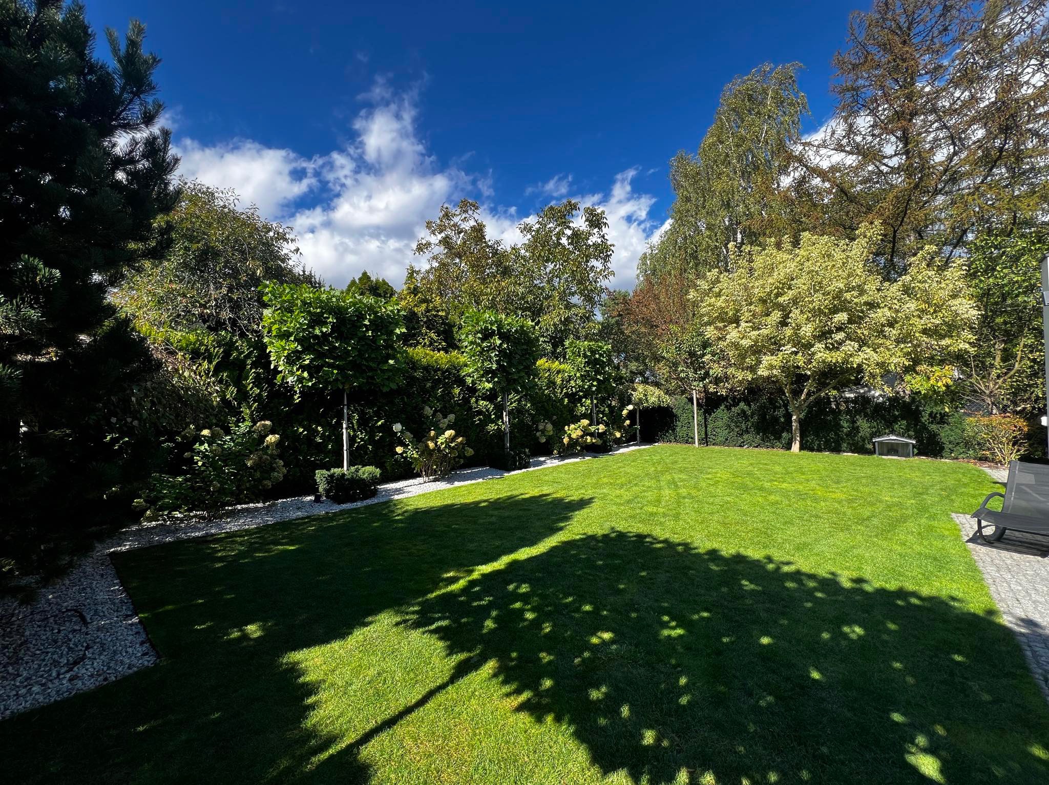 Zadbany trawnik z równo przystrzyżoną trawą, obrzeża z białego kamienia, formowane krzewy i drzewa w tle, cień drzewa na trawie, słoneczny dzień.