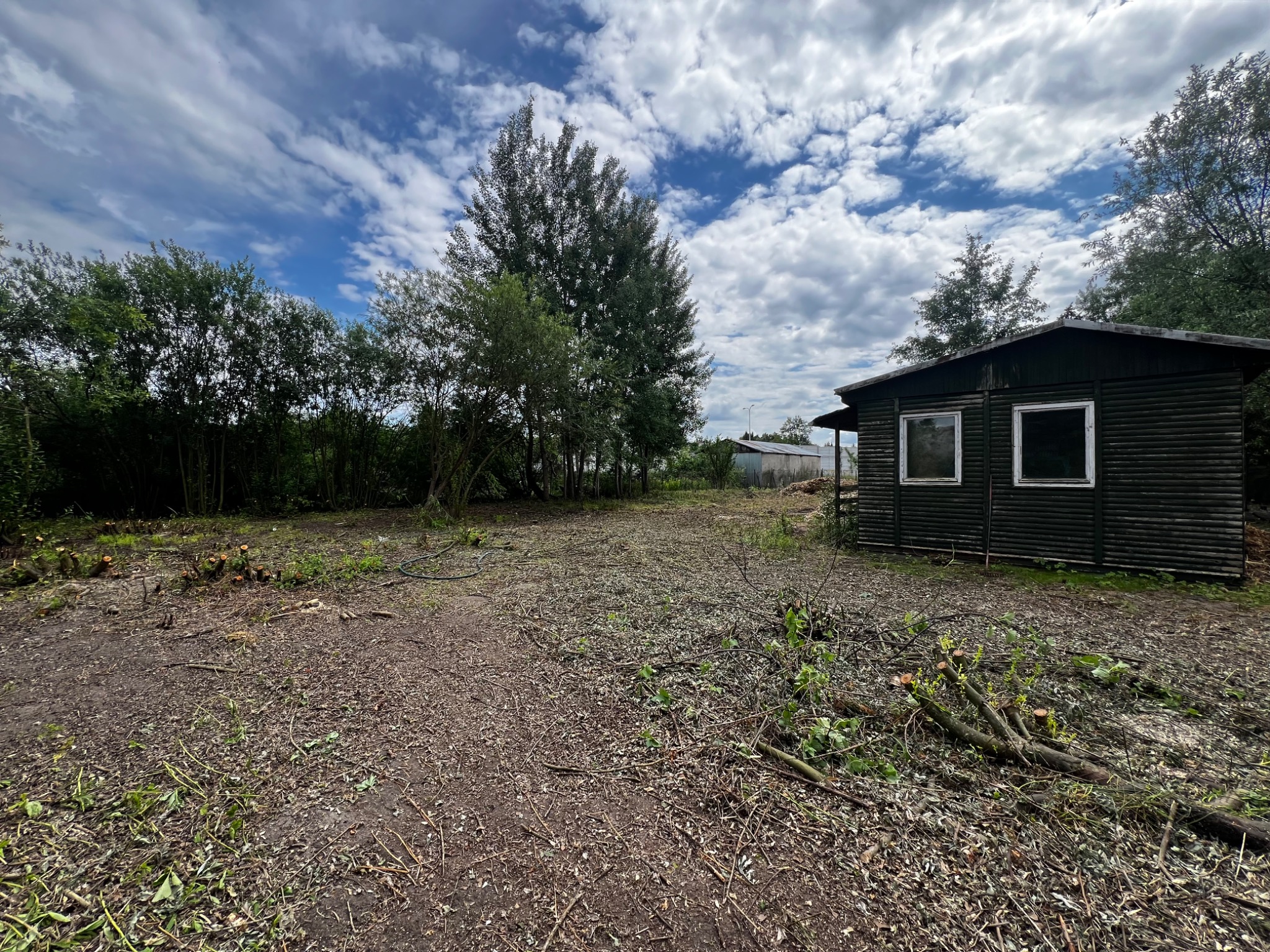 Teren po wycince drzew i krzewów, widoczne pnie po ściętych drzewach, gałęzie i liście na ziemi, mały drewniany budynek w tle, błękitne niebo z chmurami.