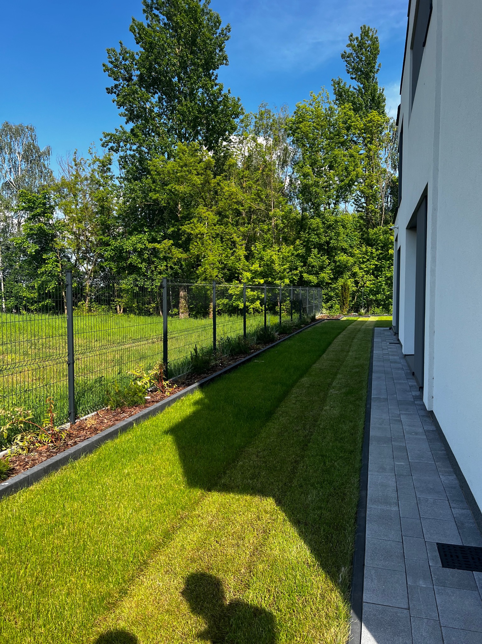 Świeżo założony trawnik z rolki przylegający do nowoczesnego domu, oddzielony obrzeżem od szarej kostki brukowej, w tle metalowe ogrodzenie i zieleń drzew.