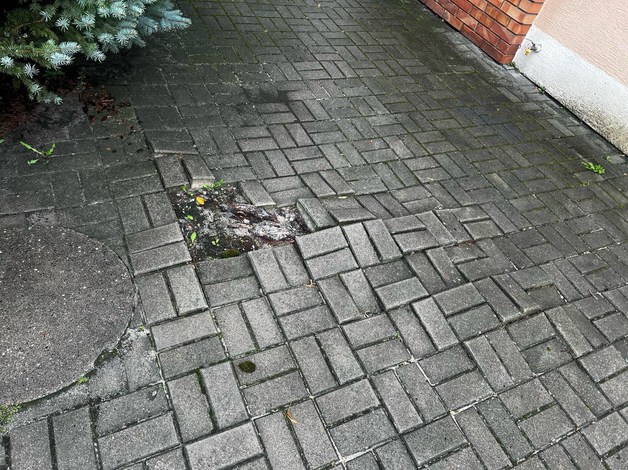 Zniszczona, szara kostka brukowa na podjeździe z ubytkiem i zapadniętymi elementami. Widoczne mech i brud, fragment roślinności i ściana budynku w tle.