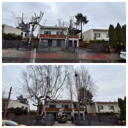 Tom_Kop - Porównanie stanu drzew przed i po przycięciu przed nowoczesnym domem; górne zdjęcie ukazuje drzewa przed zabiegiem, dolne po, z widocznym podnośnikiem koszowym i pracownikiem w trakcie lub po pracy.