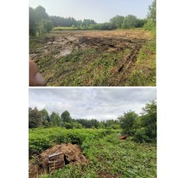 Wycinka drzew Olkusz 4