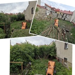 Wycinka drzew Olkusz 3