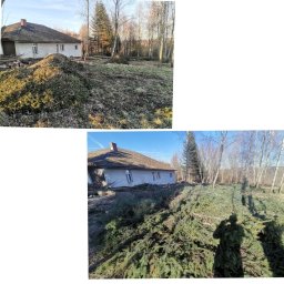 Wycinka drzew Olkusz 2