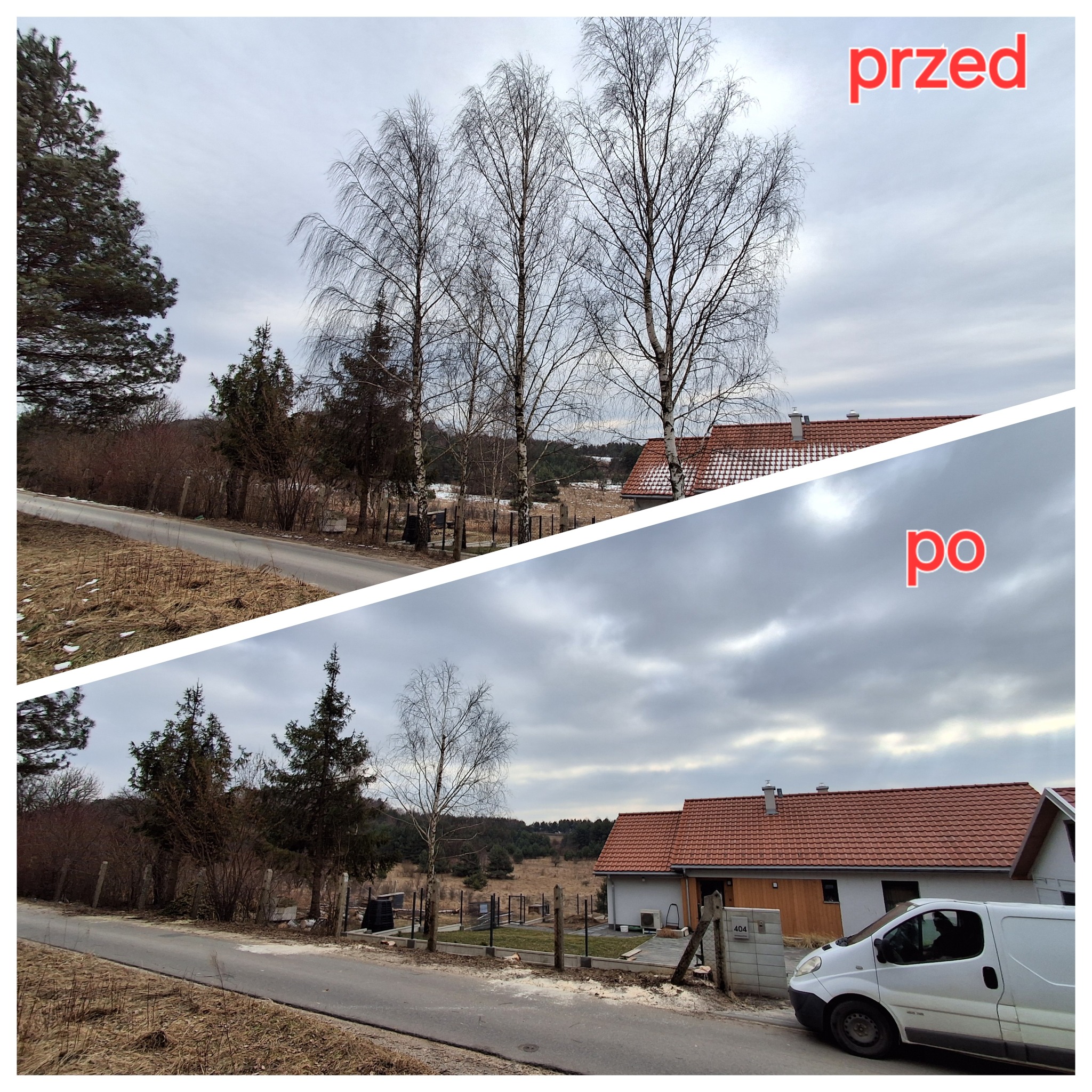 Zdjęcie typu 'przed i po' przedstawiające działkę z drzewami, na górnej części kadru widoczne wysokie drzewa liściaste przed zabiegiem, na dolnej części kadru widoczne te same drzewa po usunięciu...