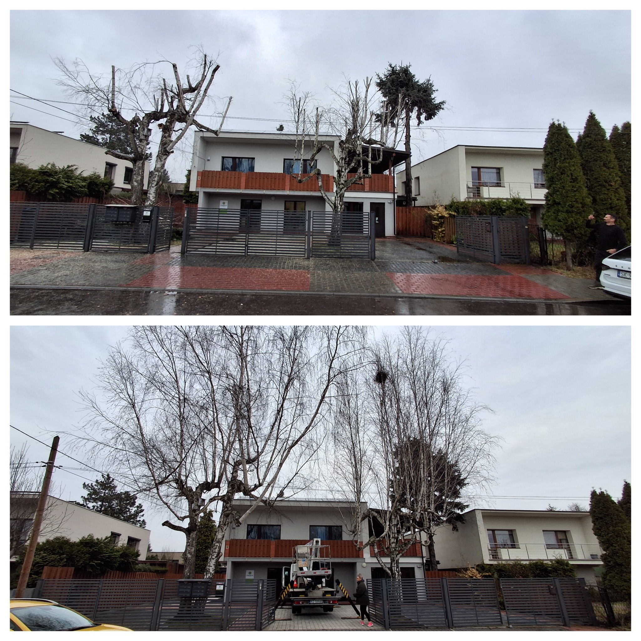 Porównanie stanu drzew przed i po przycięciu przed nowoczesnym domem; górne zdjęcie ukazuje drzewa przed zabiegiem, dolne po, z widocznym podnośnikiem koszowym i pracownikiem w trakcie lub po pracy.