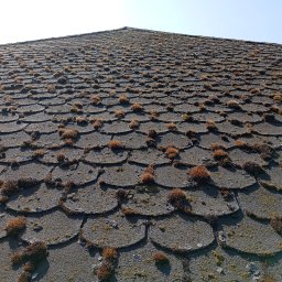 Mycie dachów Łódź 4