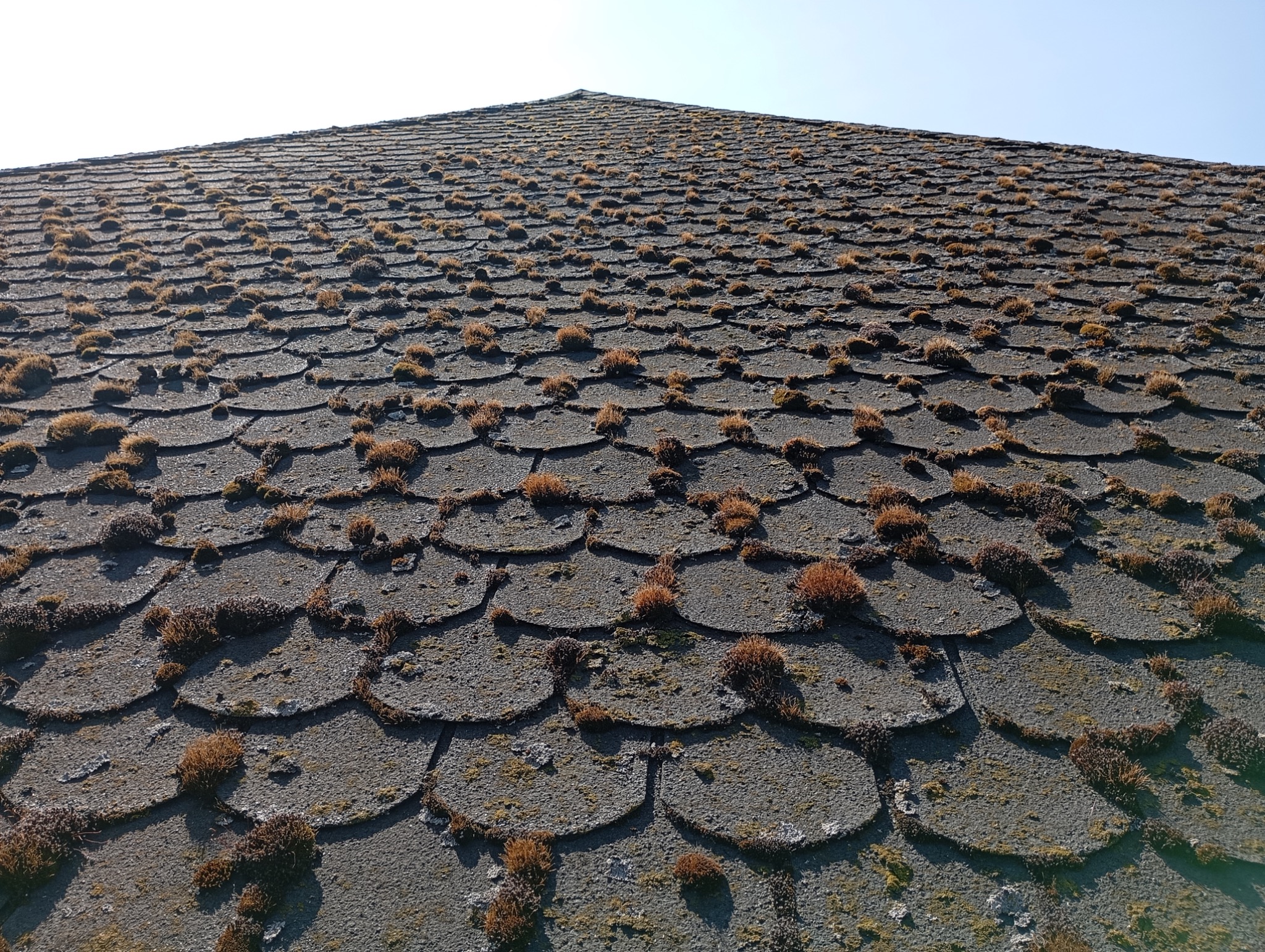 Dach pokryty szarą dachówką bitumiczną, porośnięty mchem. Widok z dołu, ukazujący teksturę i zanieczyszczenia. Błękitne niebo w tle.