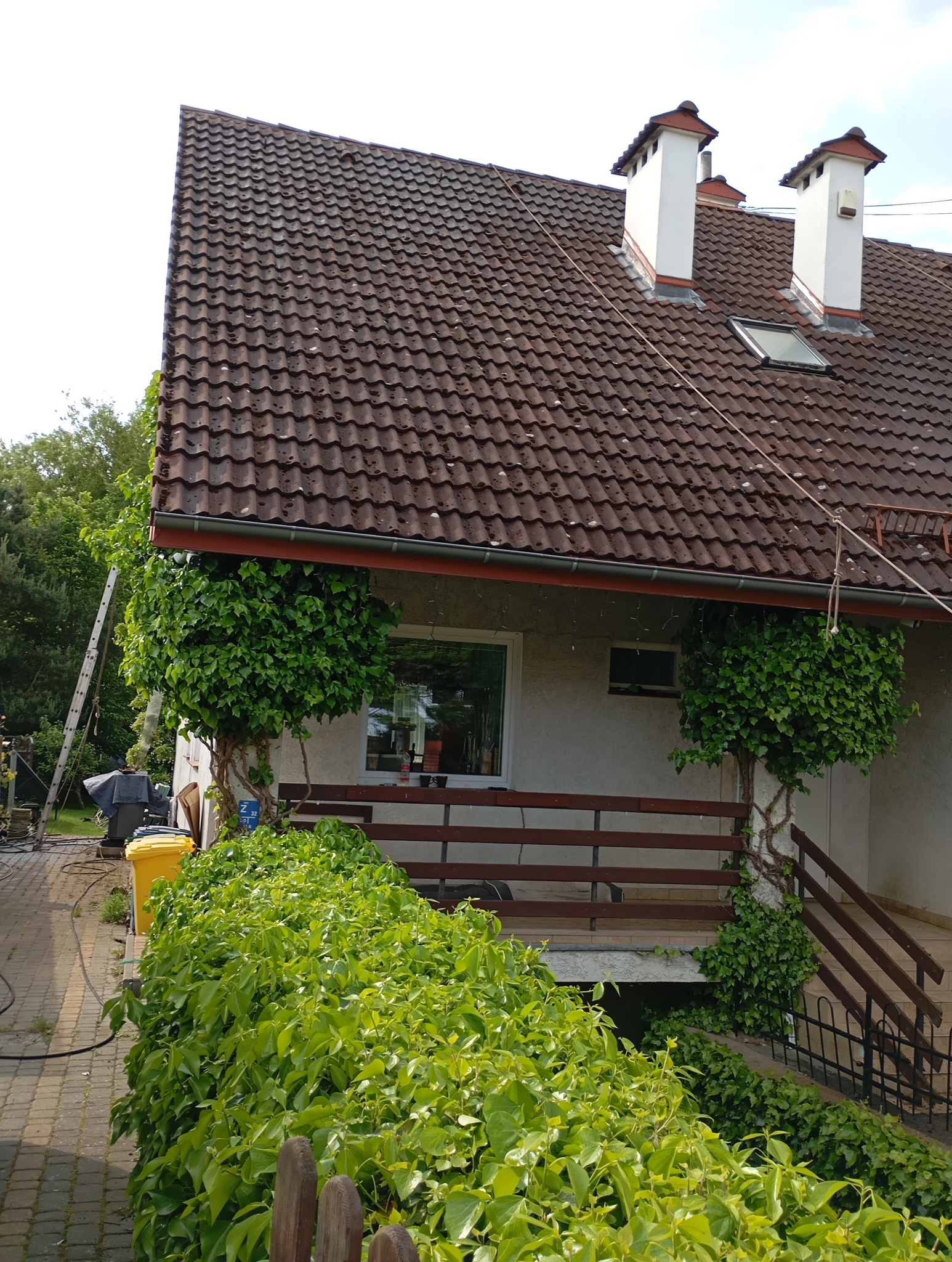 Dom jednorodzinny z brązowym dachem i porośniętą bluszczem elewacją, widoczny z poziomu ogrodu. Na dachu dwa białe kominy, w tle drabina i sprzęt do czyszczenia.
