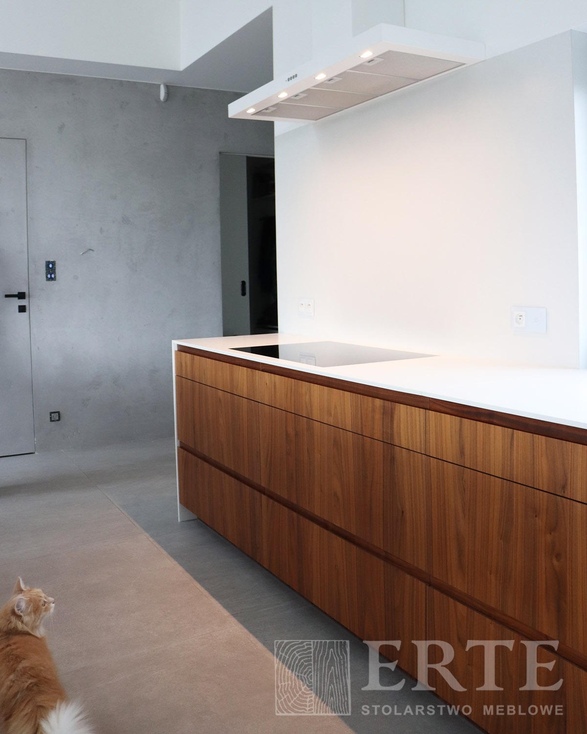 Nowoczesna kuchnia z drewnianą wyspą i białym blatem, minimalistyczny design, kot obserwujący przestrzeń, logo firmy stolarskiej w rogu.