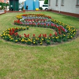 Zakładanie ogrodów Gostynin 4