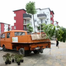Pomarańczowy samochód dostawczy z przyczepą pełną drzewek i roślin, przygotowanych do zasadzenia na terenie nowego osiedla mieszkaniowego.