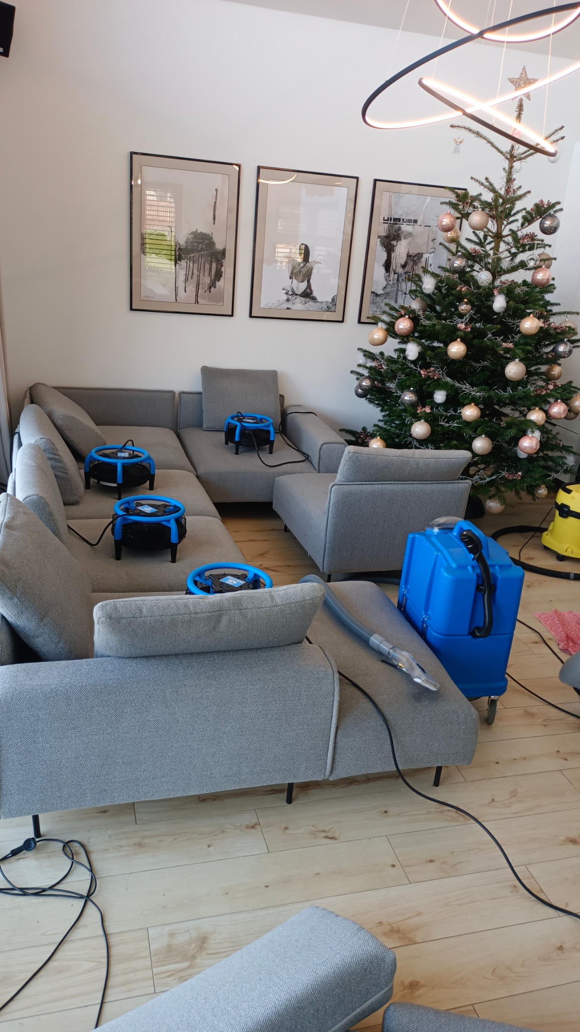 Szara, modułowa kanapa po praniu ekstrakcyjnym, z suszarkami i sprzętem do prania. W tle choinka i obrazy w salonie. Widok na proces czyszczenia tapicerki.