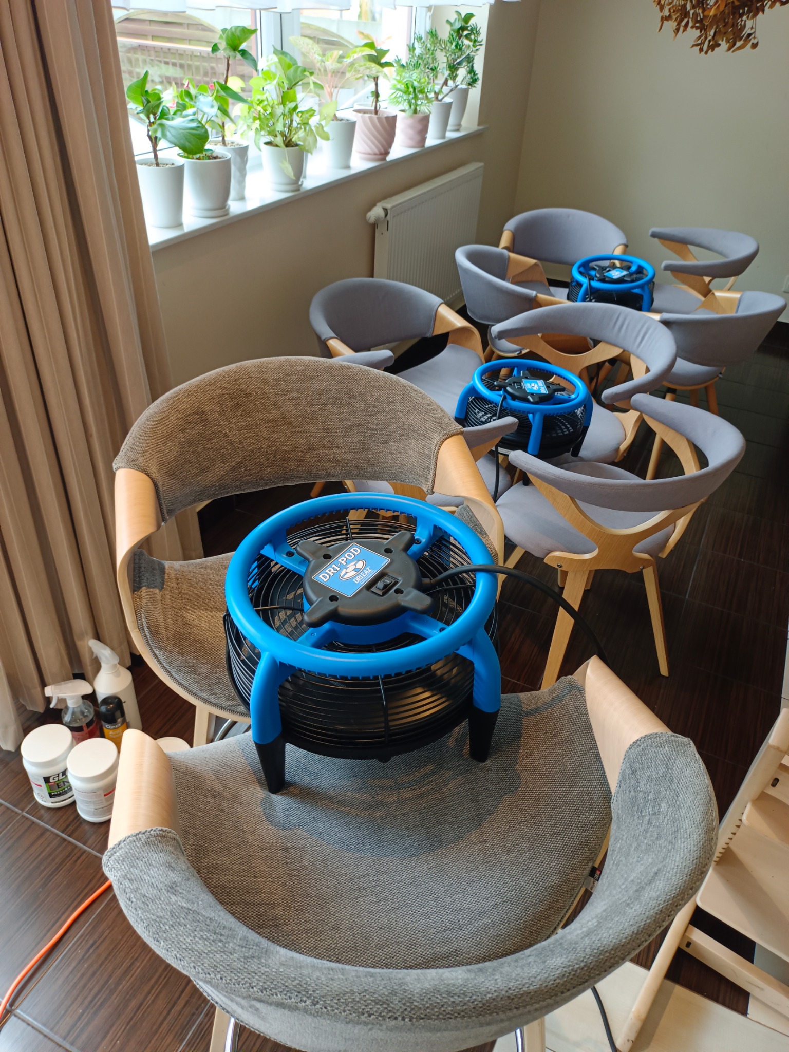 Krzesła z wentylatorami Drieaz Dri-Pod, prawdopodobnie po praniu tapicerki. W tle okno z roślinami doniczkowymi i inne krzesła. Widoczne środki czyszczące.