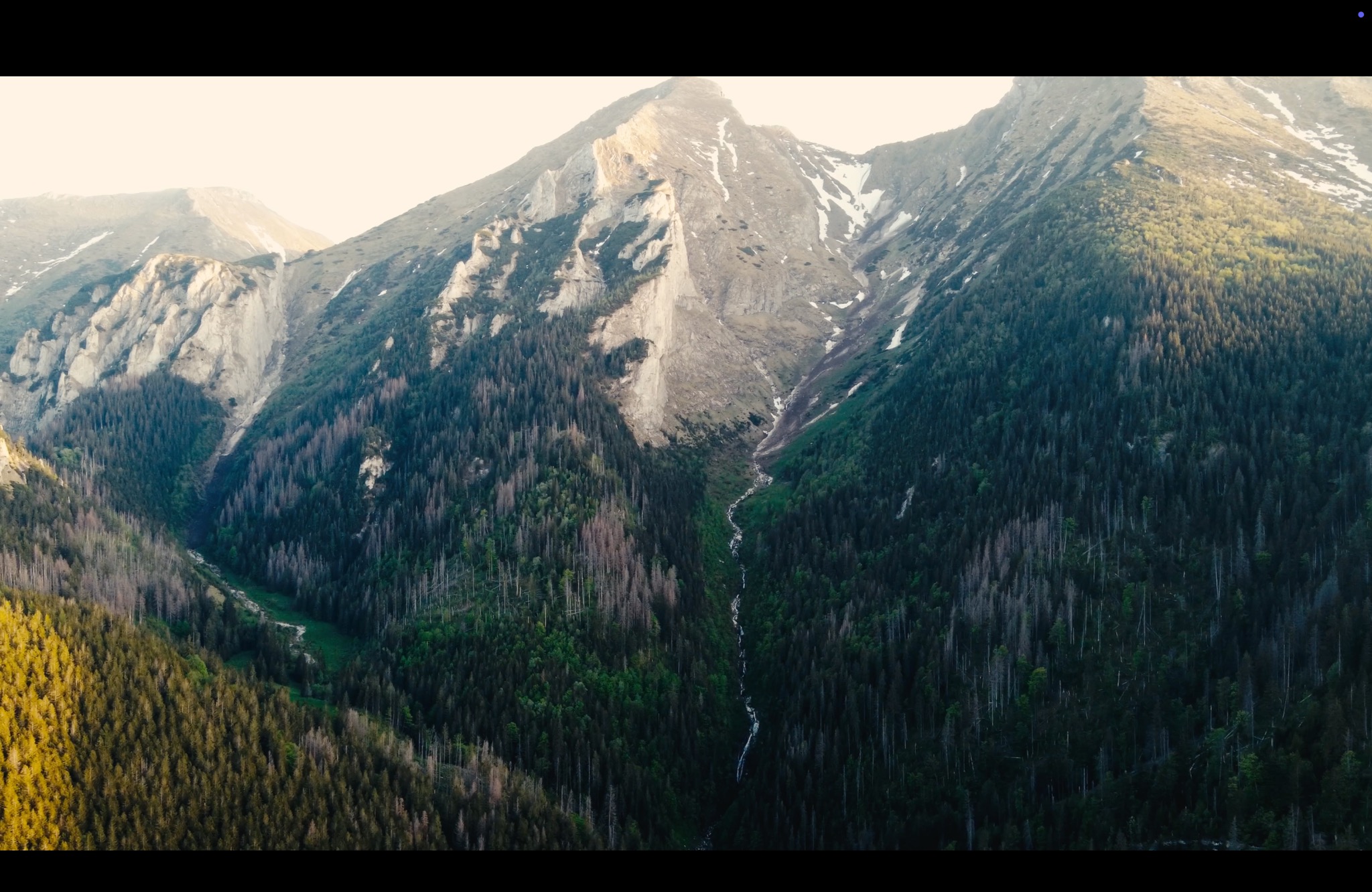 Słoneczny widok na góry porośnięte lasem iglastym z widocznym strumieniem spływającym po zboczu.