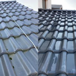 Mycie dachu przed/po