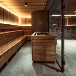 sueños studio - Nowoczesna sauna z drewnianymi ławkami, piecem obudowanym drewnem i przylegającą kabiną prysznicową oddzieloną szklanymi drzwiami.