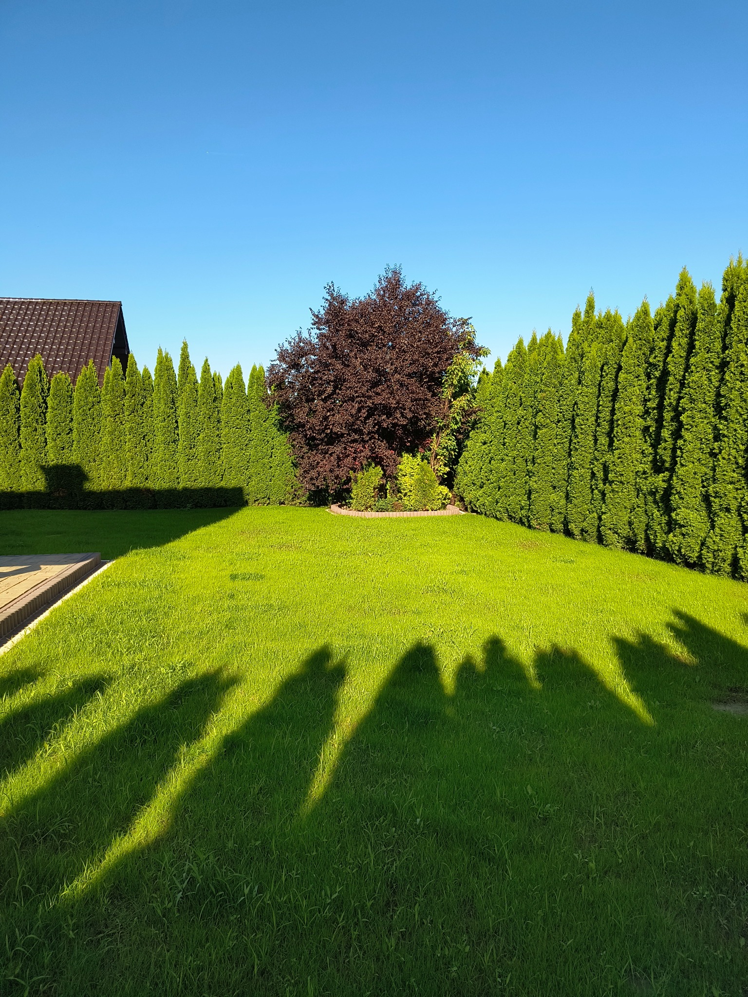 2. Kraków - zakładanie trawnika z siewu wraz z montażem systemu nawadniania Hunter.