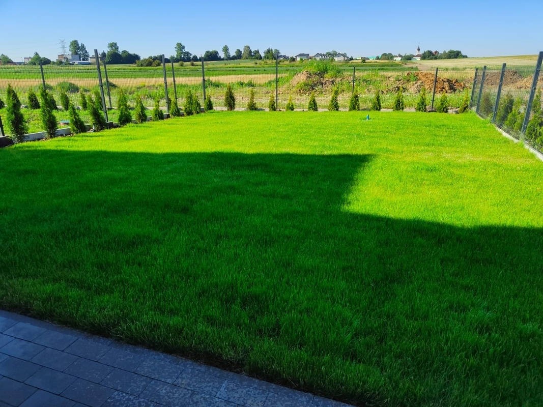 Trawnik po gruntownej renowacji.