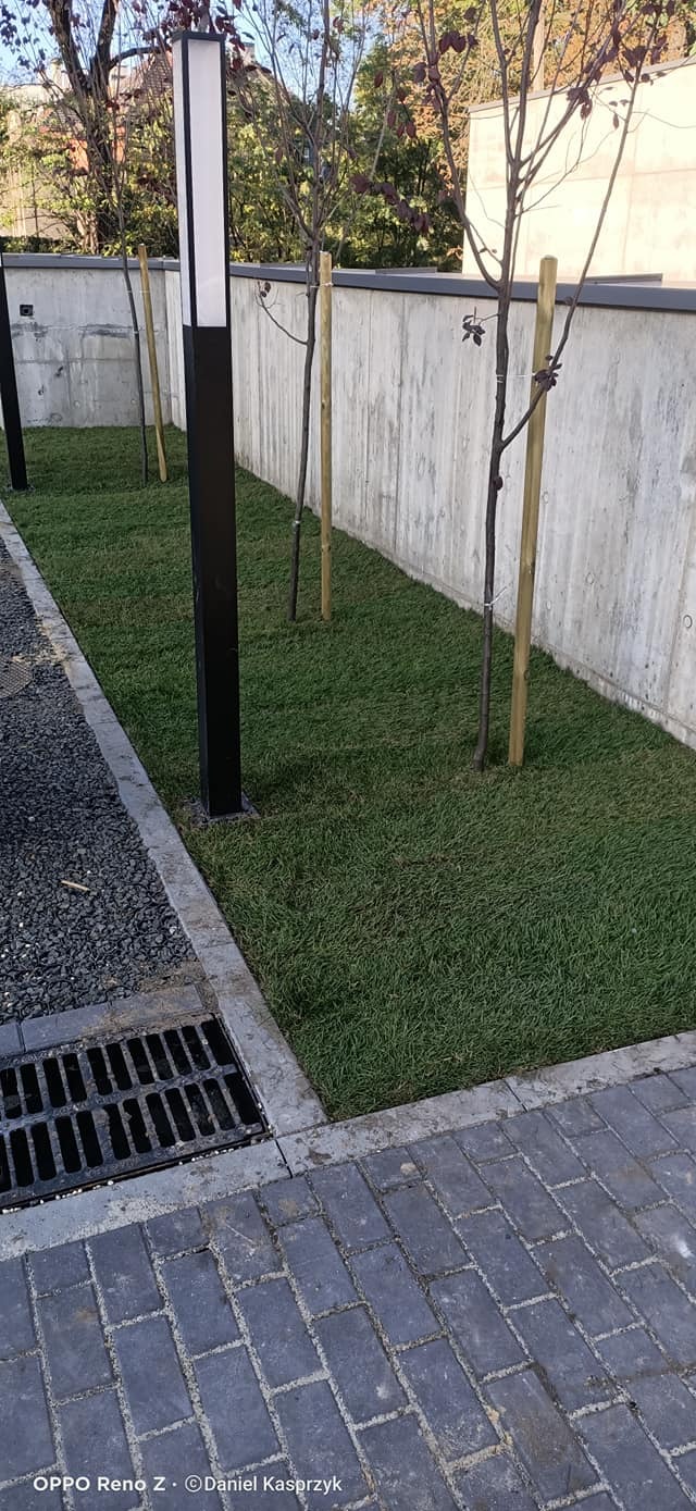 3. Zabrze - publiczna inwestycja, nasadzenia roślin o konkretnych wytycznych oraz założenie trawnika z rolki.