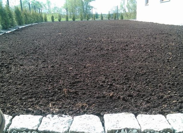 1. Przygotowanie terenu wraz z wysiewem trawy.