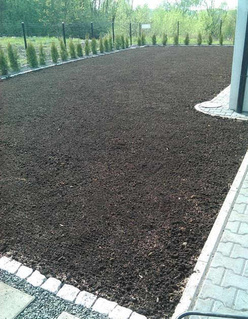 2. Przygotowanie terenu wraz z wysiewem trawy.