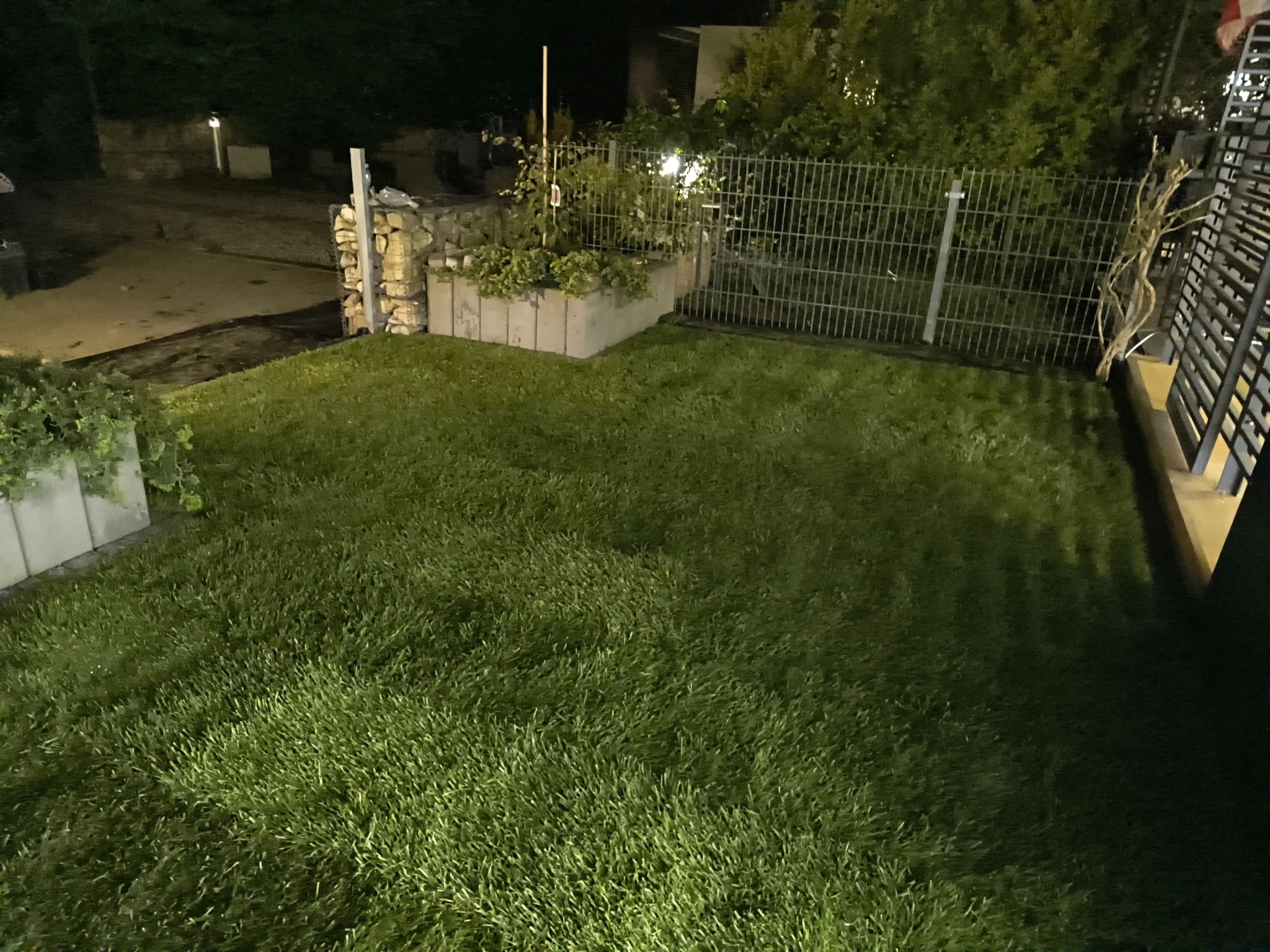 Zagęszczony trawnik z rolki przy betonowych rabatach i metalowym ogrodzeniu, oświetlony nocą, z widoczną strukturą trawy i elementami architektury ogrodowej.