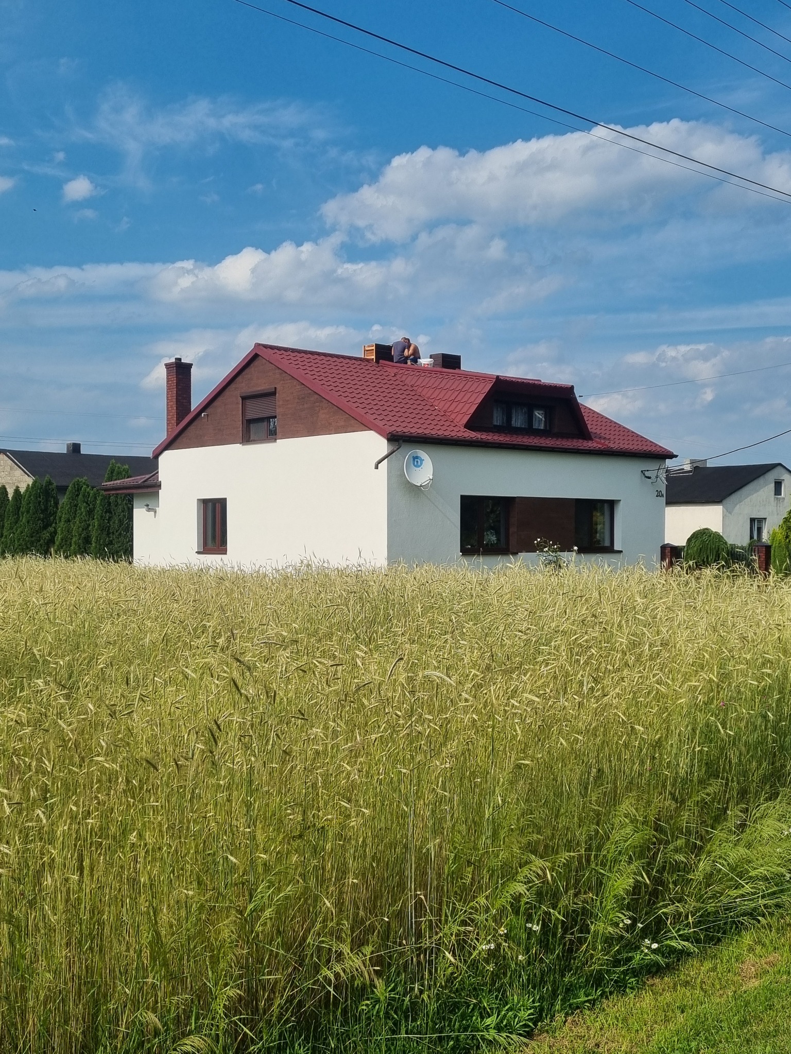 Dwukondygnacyjny dom jednorodzinny z czerwoną dachówką, białą elewacją i brązowym pasem pod dachem, widziany zza wysokiego zboża; na dachu widoczna osoba podczas prac.