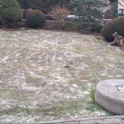 Pielęgnacja ogrodów Głębock 2