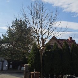 Pielęgnacja ogrodów Głębock 3