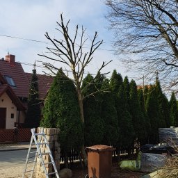 Pielęgnacja ogrodów Głębock 4