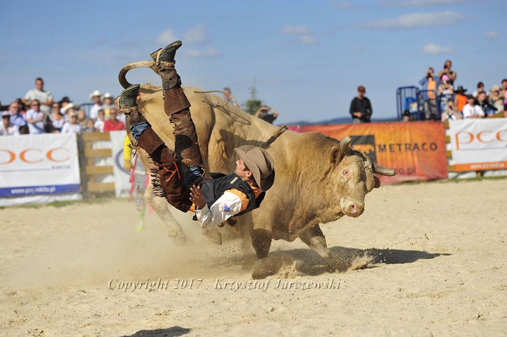 Kowboj spadający z byka podczas rodeo na piaszczystej arenie, z widownią w tle.