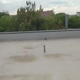 Dach-Felc - Płaski dach pokryty jasną membraną, z widocznymi kałużami wody po deszczu i wystającym kominkiem wentylacyjnym. W tle zieleń drzew i zabudowania.