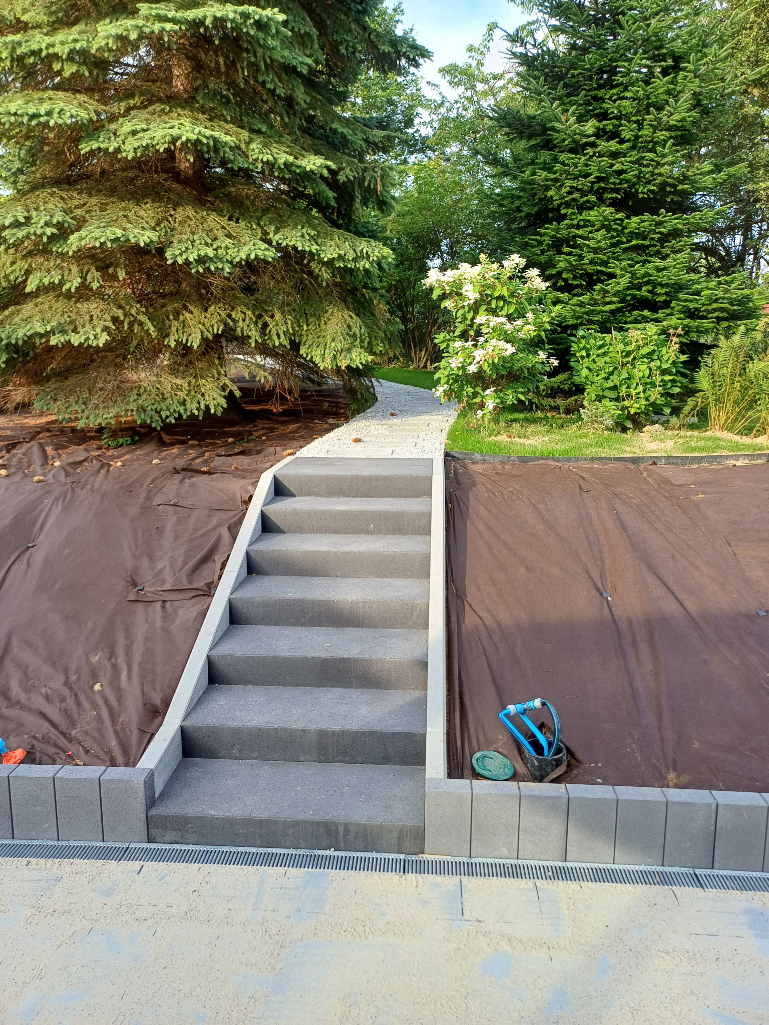 Nowo wybudowane betonowe schody prowadzące do ścieżki z jasnego żwiru w ogrodzie, zabezpieczone brązową tkaniną przed obsypywaniem ziemi.
