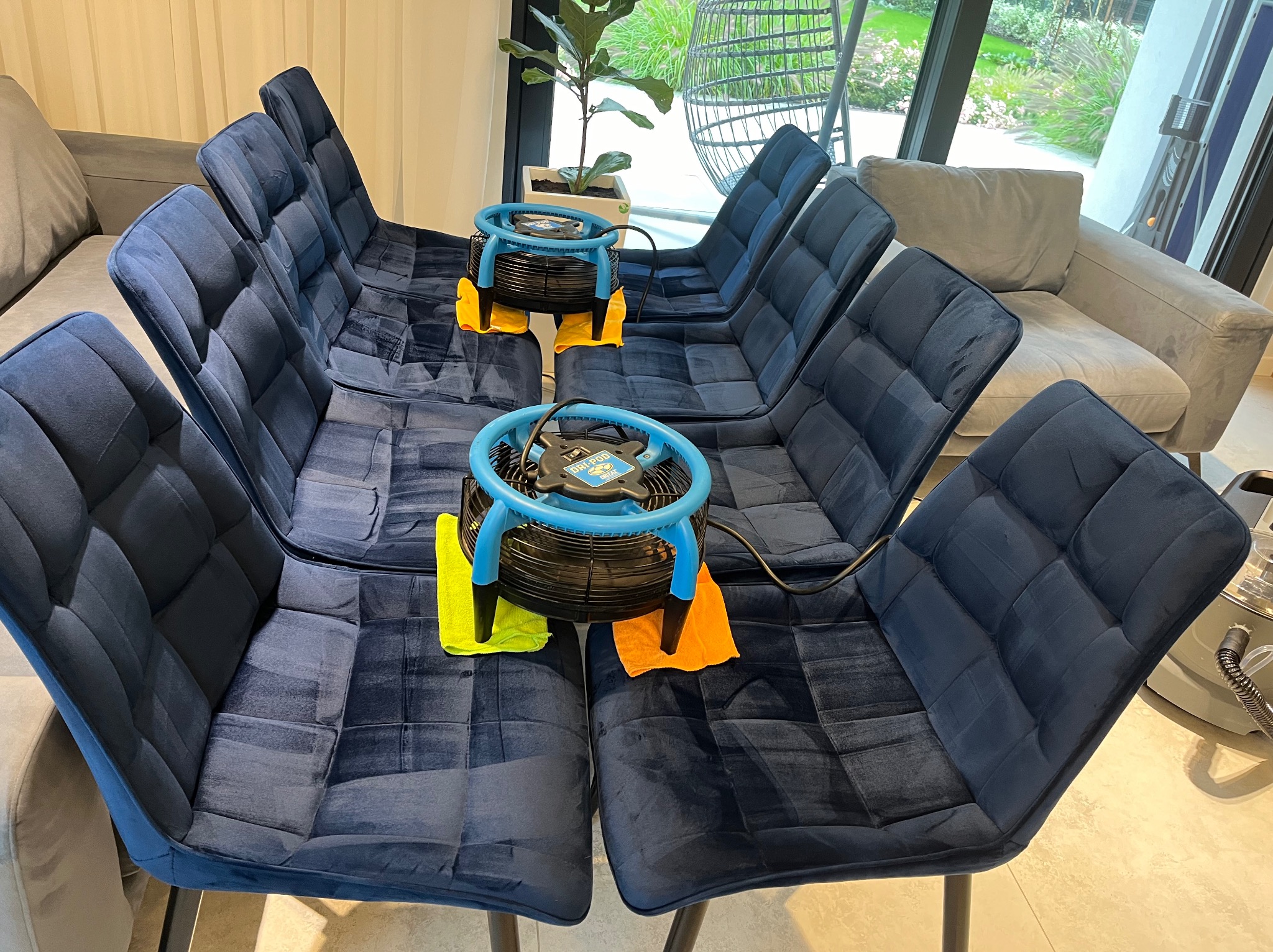 Rząd krzeseł z ciemnoniebieską tapicerką, suszonych po czyszczeniu przy pomocy specjalnych wentylatorów ustawionych na kolorowych ścierkach.