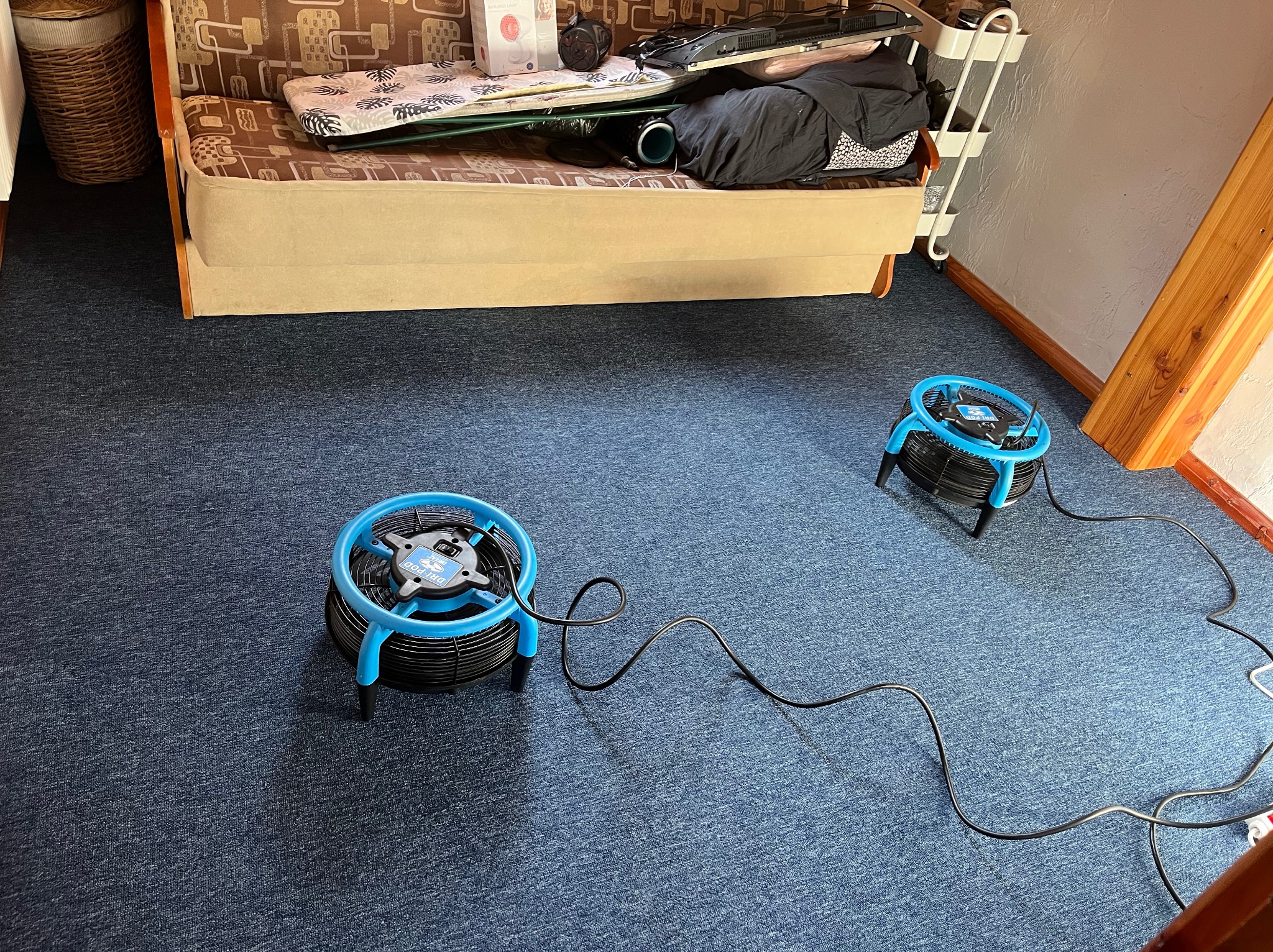 Dwa wentylatory osuszające z niebieskimi elementami na ciemnoniebieskim dywanie po czyszczeniu, widok z góry, kabel zasilający na podłodze.
