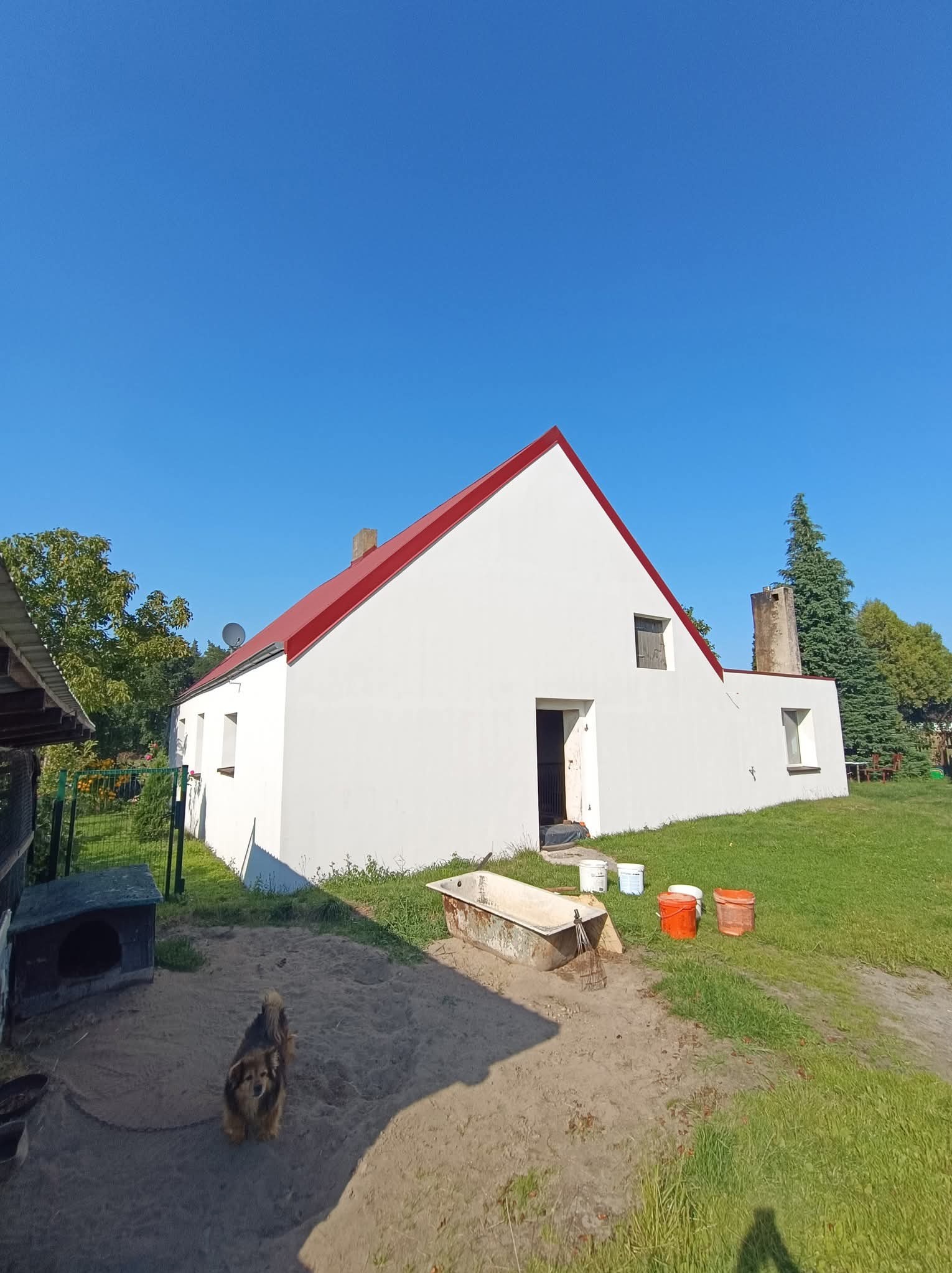 Biały budynek z czerwonym dachem po renowacji elewacji, widoczny na tle błękitnego nieba. Na pierwszym planie pies i akcesoria malarskie.