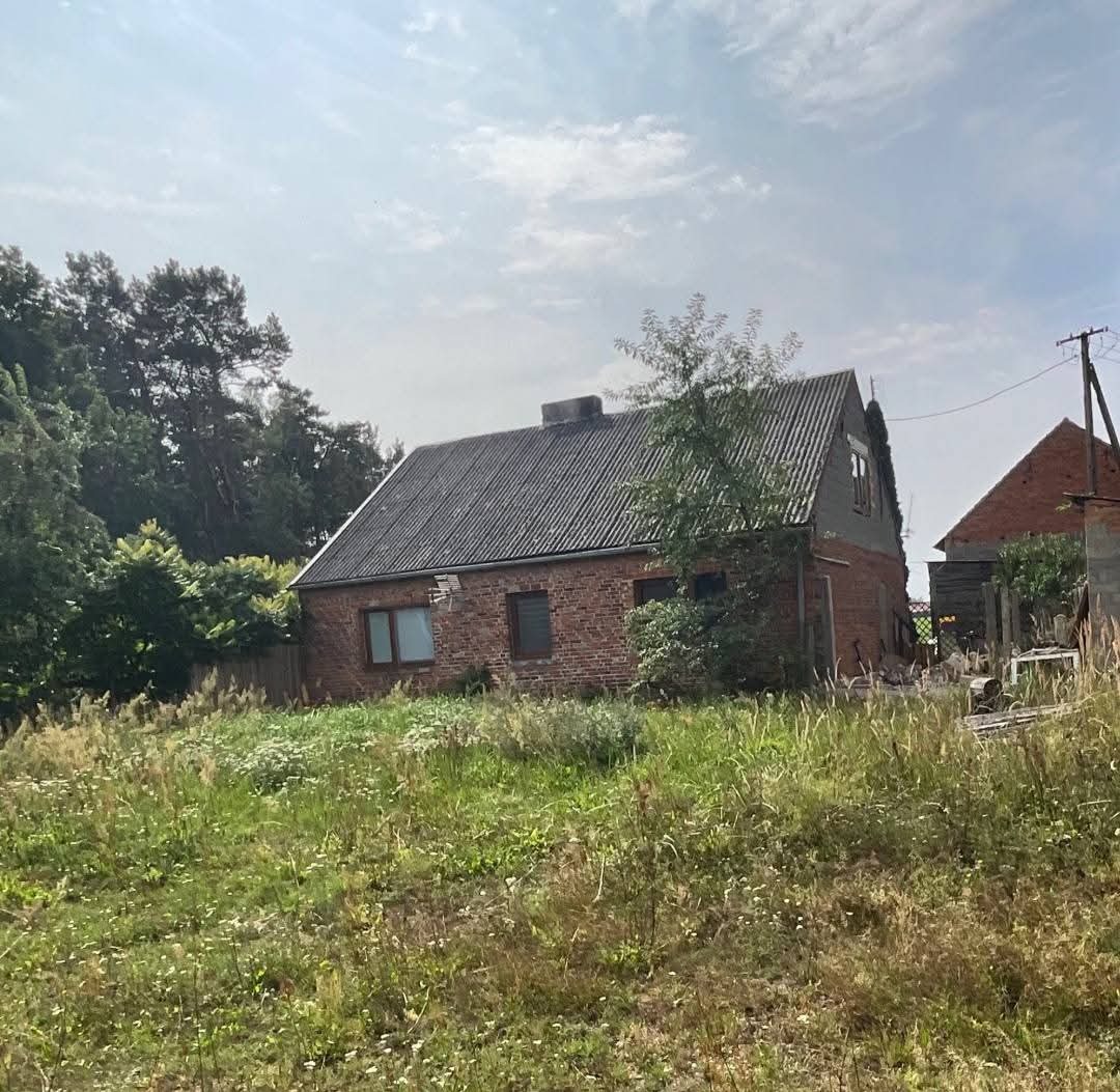 Ceglany dom jednorodzinny z szarym dachem, otoczony wysoką trawą i drzewami. Widoczne dwa okna i fragment drugiego budynku w tle. Pochmurne niebo.