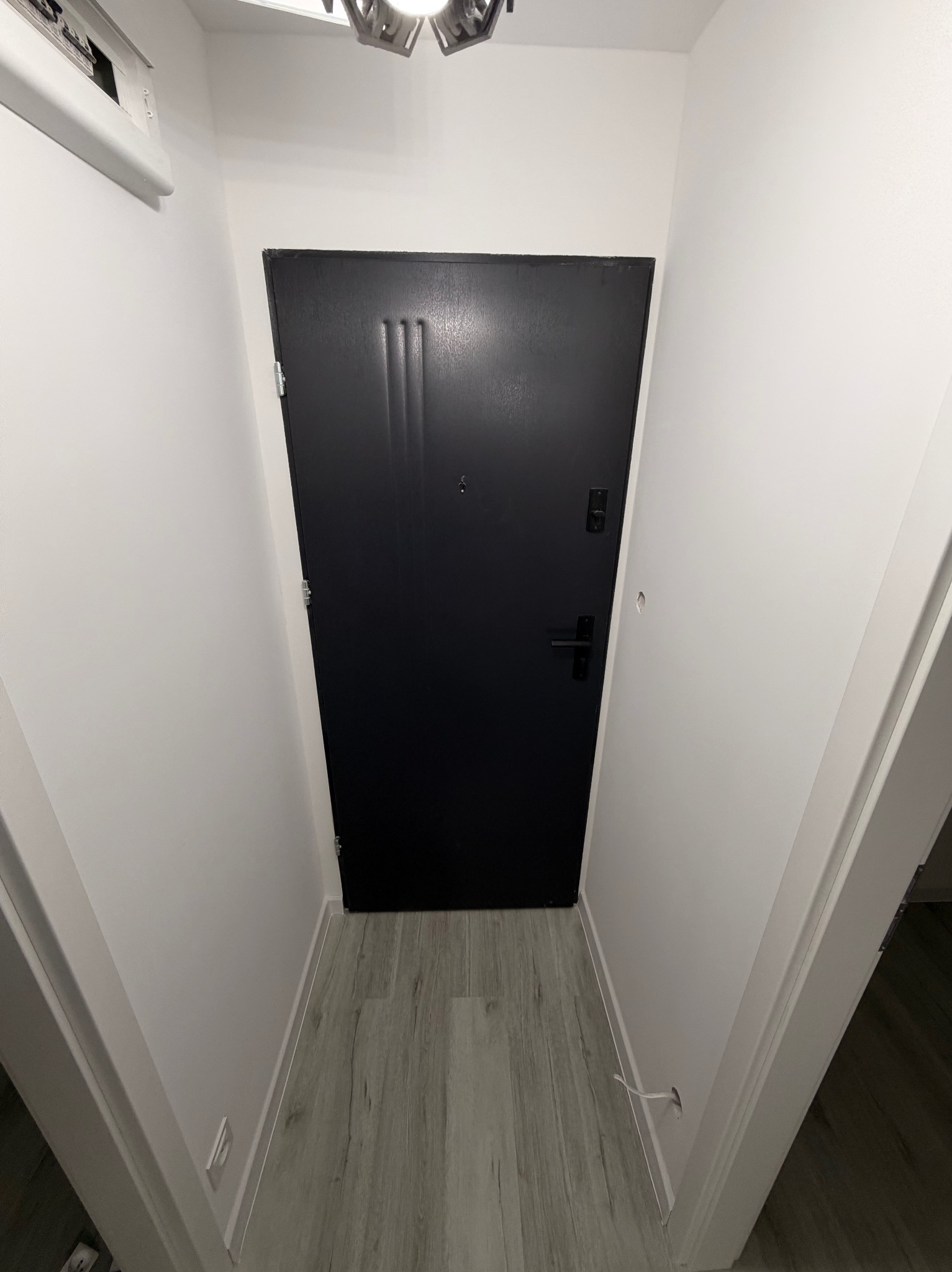 Ciemne drzwi wejściowe z trzema pionowymi wgłębieniami, osadzone w białej ścianie. Podłoga wyłożona panelami imitującymi drewno. Widok z perspektywy.