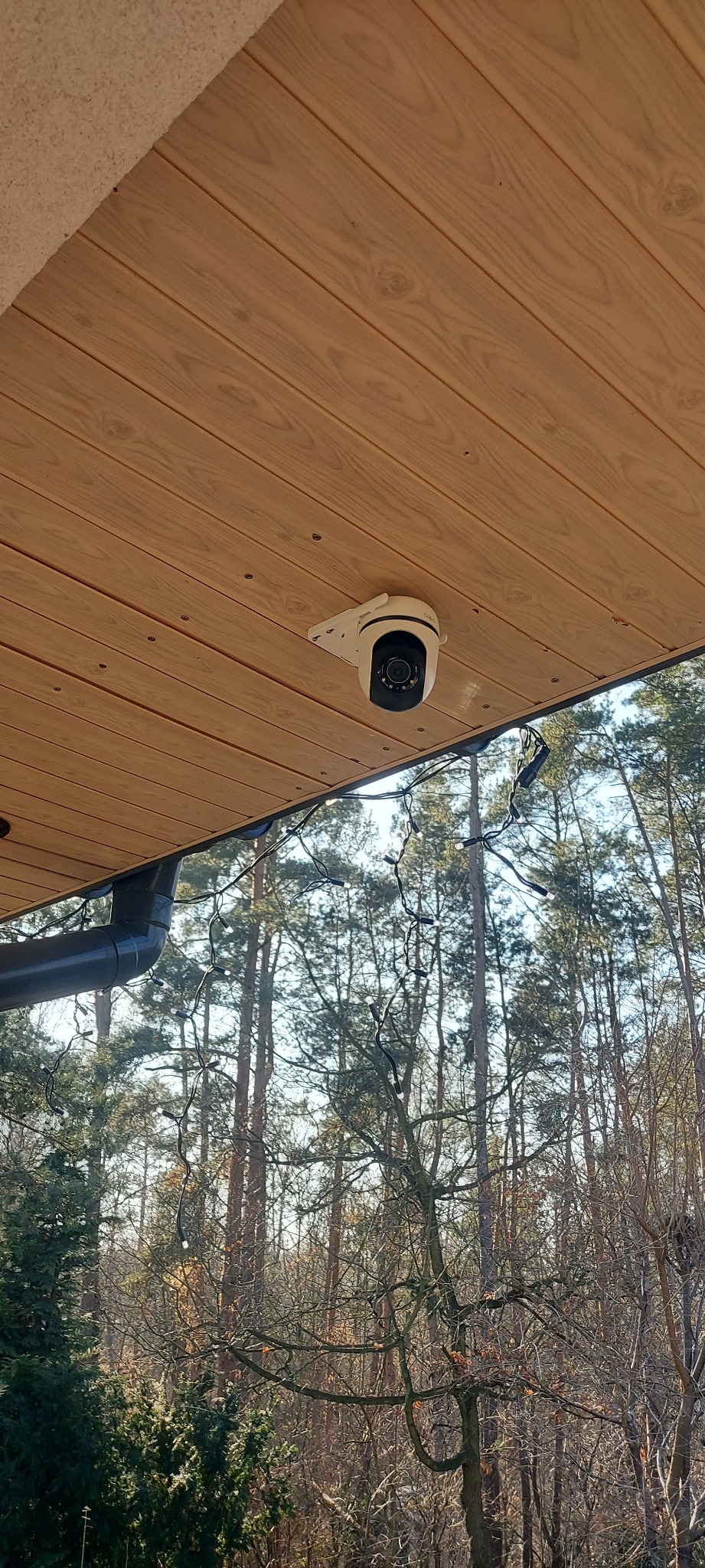 Biała kamera monitoringu zamontowana pod drewnianym sufitem werandy, w tle widok na las.
