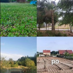 KuzGarden-drew - Doskonałej Jakości Pielęgnacja Ogrodów Łańcut
