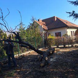 KuzGarden-drew - Mężczyzna w jeansach i kurtce tnie piłą spalinową powalone drzewo na tle domu jednorodzinnego i zielonego ogrodzenia.