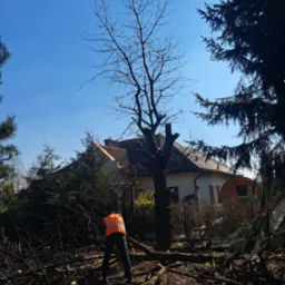 Pracownik w pomarańczowej kamizelce tnie gałęzie drzewa na tle domu jednorodzinnego w słoneczny dzień, teren pokryty pociętymi gałęziami.