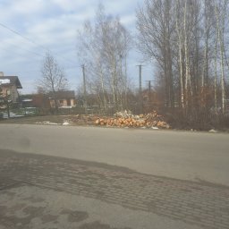 Wycinka drzew Albigowa 2