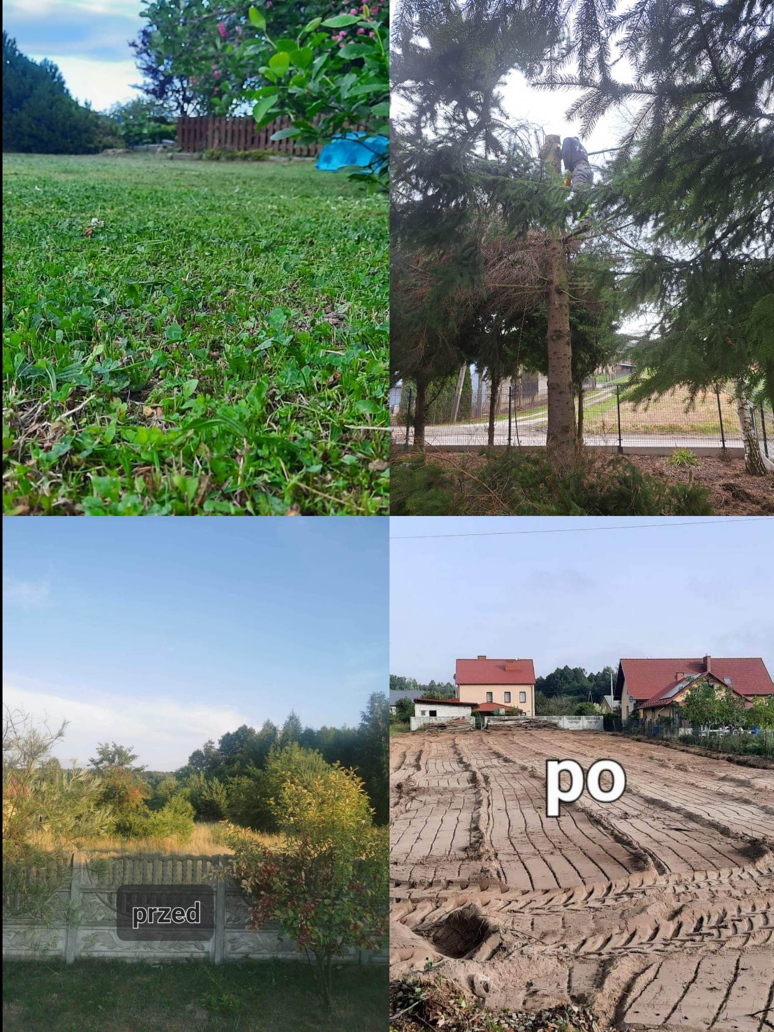 Czteropanelowe porównanie: trawnik z bliska, pracownik przycinający drzewo iglaste, widok krajobrazu przed i po wyrównaniu terenu pod budowę.
